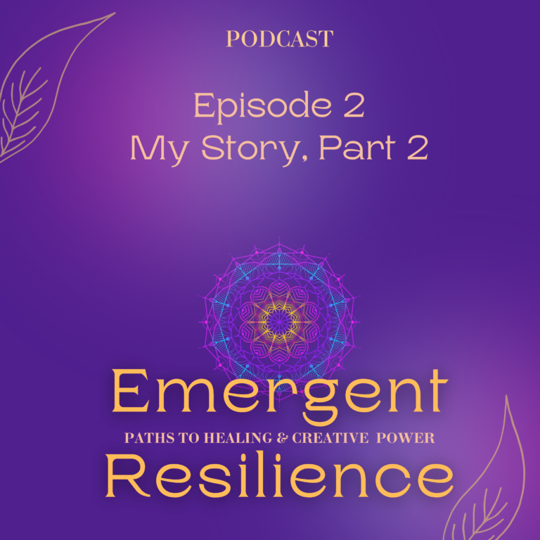 Emergent Resilience 02:  My Story, Part 2