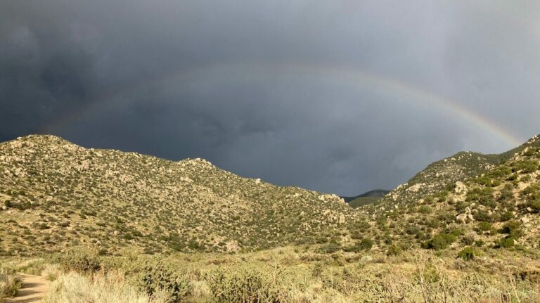 How does your nervous system respond to the seasons?