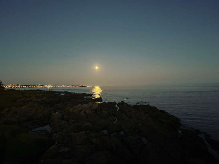 Full Moon in Scorpio