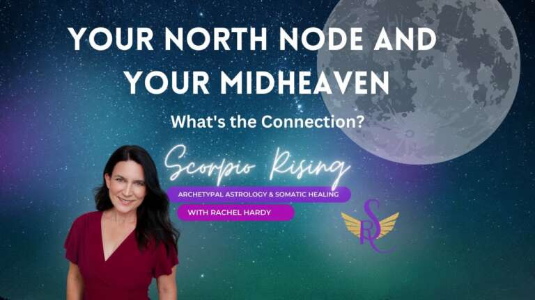 north node 10th house